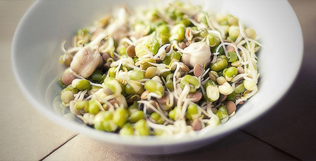 Raw Food Cuisine: Segreti di Cucina e Alimentazione Utili al Ristoratore